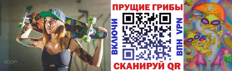 Галлюциногенные грибы GOLDEN TEACHER  где продают наркотики  Берёзовка 
